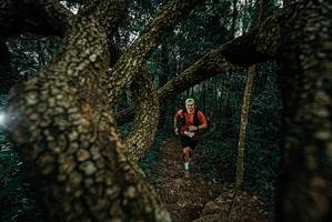 BIB: 
                            <button type="button" onclick="openModal(25697136)" class="btn btn-primary btn-sm float-right btn-popup" data-toggle="modal" data-target=".modal-high-quality">
                        <i class="fas fa-shopping-cart"></i> Add to Cart
                    </button>
                                            <button type="button" onclick="isThisMe(25697136, true)" class="btn btn-success btn-sm float-right btn-popup btn-isme hidden" data-toggle="tooltip" data-placement="bottom" title="นี่คือรูปของคุณใช่ไหม คลิกที่นี่เพื่อเอาเข้าอัลบั้ม">
                        <i class="fas fa-plus"></i> Add to album
                    </button>
                    <button type="button" onclick="isThisMe(25697136, false)" class="btn btn-warning btn-sm float-right btn-popup btn-isnotme hidden">
                        <i class="fas fa-ban"></i> Remove from album
                    </button>